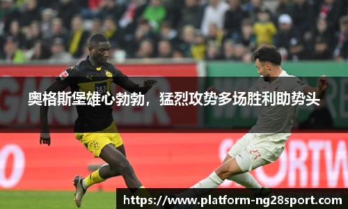 南宫28公司