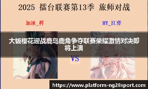 南宫28公司
