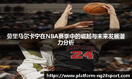 南宫28官网