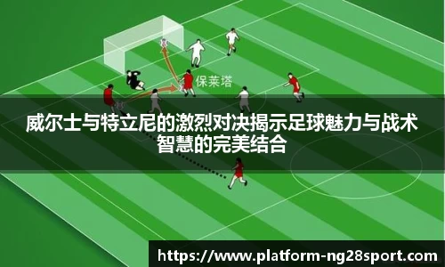 南宫28