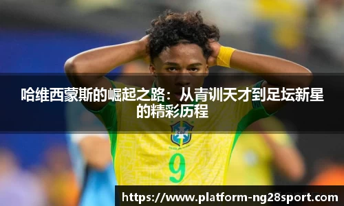 南宫28公司