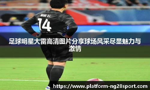 南宫28官方网站